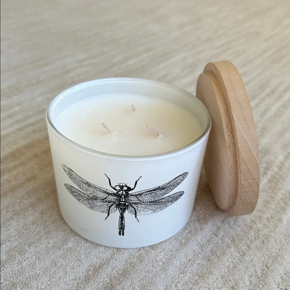 NWT Crate & Barrel Skeem Sea Salt Citronella Outdoor Patio Candle 3 Wick 80 Hrs